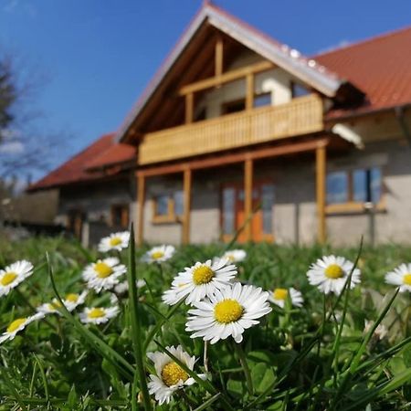 Wandertraum Johann - Fewo Eifel Kruft Dış mekan fotoğraf