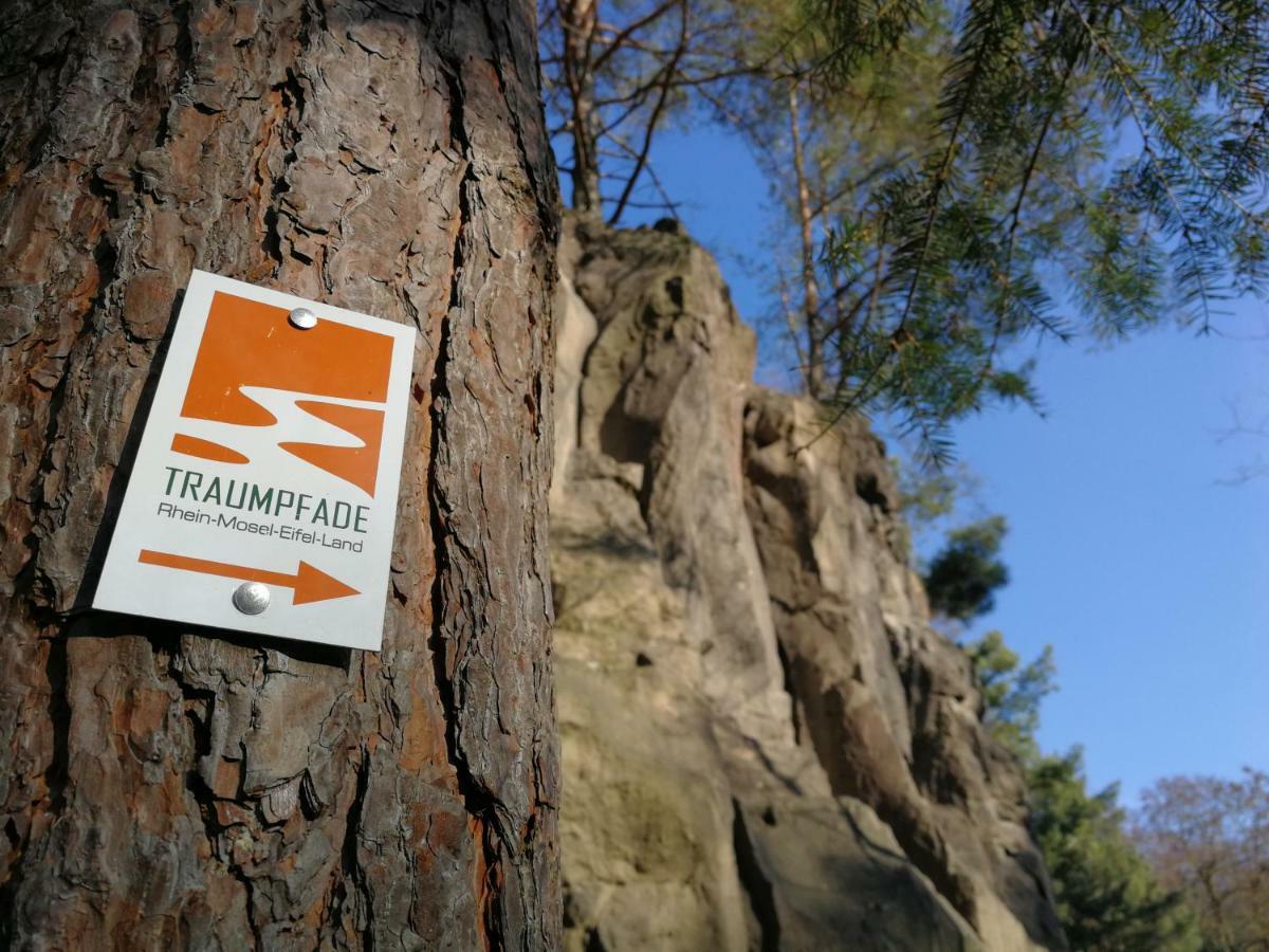Wandertraum Johann - Fewo Eifel Kruft Dış mekan fotoğraf